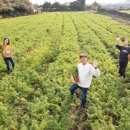 모이다식탁 이미지