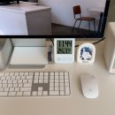 루이펫독 이미지