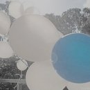 에이치오(H.O) 이미지