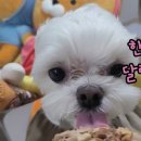 먹자 이미지