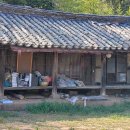 보성담배 이미지