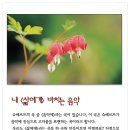 풀루풀루 이미지