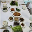 동반자케어 이미지