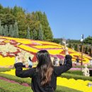 임실한우 | 임실 치즈축제 방문 후기 <임실 구위먹는 치즈, 한우, 포션 치즈>