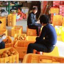 우인호 농장 이미지