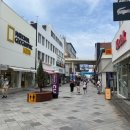 로피하우스 이미지