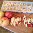 쿨한 강아지 이미지