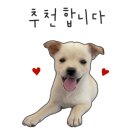 이오이오스튜디오 이미지