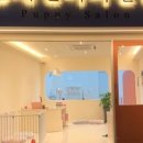 퍼피살롱 이미지