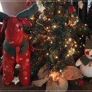 제주 나인 부띠끄호텔 이미지