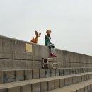 🌊 시흥 거북섬 감성 명소 “거북섬에 온 어린왕자” 완전정복 후기 💛 낮편