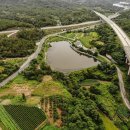 삼괴정낚시터 이미지