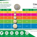 하남플러스동물병원 이미지