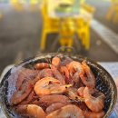 섬 왕새우축제 | 신안여행 :: [섬왕새우축제] 신안 아이와 가볼만 한 가을축제, 왕새우의 효능, 주차, 가격정보