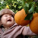 봉이농장 이미지