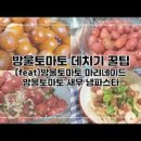 아침 토마토 사과주스 만들기 토마토쥬스 야채주스 완숙 토마토요리 이미지