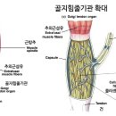 피트니스고유 이미지