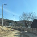 이천 어름박골캠핑장 후기