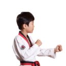 경희대 초은 태권도장 이미지