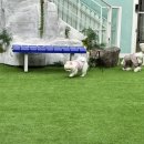 2Do (2도) 이미지