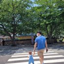 인순농장 | 아기와 첫여행 ; 경남 키즈풀빌라추천 석식조식제공되는 하동 빠하디 키즈풀빌라 내돈내산후기