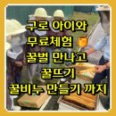 구로농장 | 구로아이와체험 추천🍯 도심 속 꿀벌 만나고 꿀뜨기까지 – 도시양봉체험교실 후기