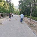 산림욕장 진입로 이미지