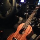 우쿨렐레(주말) 이미지