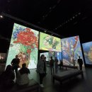 [뉴질랜드일상] 오클랜드 반고흐전 &amp; 브링코 &amp; 포항 용돈 떡 케이크 &amp; 뉴질랜드굴 &amp; 팩앤세이브 &amp; 셀프제모