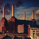 Pink Floyd - Dogs 이미지