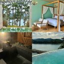 W181오션스테이 이미지