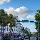 마이애미 | 마이애미 여행 후기 가봐야할곳