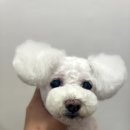 꾸야미용실