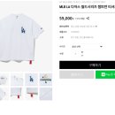 뉴에라 남성 오버핏 반팔 티셔츠 추천 내 돈 내산 핵 만족 후기14679798 / 14700229