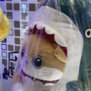 또또인형뽑기 이미지