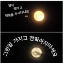 달이 떴다고 전화를 주시다니요 이미지