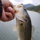 고흥자동차공업사 이미지