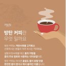 착실한베짱이 이미지