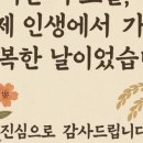 돈앤카우 이미지