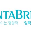 크리에이티브시즌
