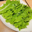 더우개생포갈비 | 하남시청역 삼겹살 맛집 [더우개생포갈비] 생갈비 양념갈비 다 맛있어요