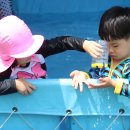 장미세차장 이미지