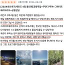 호주 케언즈 그레이트 베리어 리프 스노쿨링 &amp; 쿠란다 투어 후기