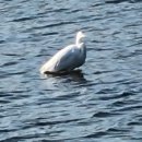 남순천의원 이미지