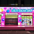 캑티가챠샵 이미지