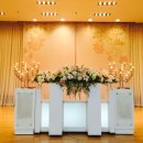 영도주단 이미지