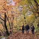 대현2리 이미지