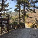 팔색조 펜션 이미지