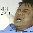 거울보는 강아지 이미지