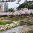 김해도서관(1052) 이미지